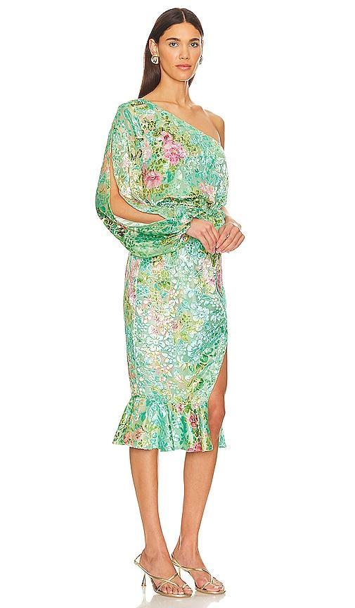 x REVOLVE Veena Midi Dress Product Image