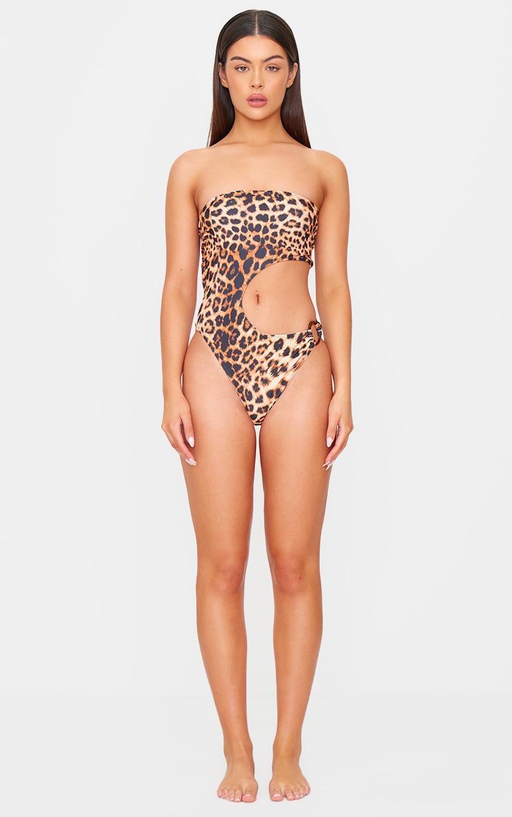 Brown Leopard Print Cut Out O Ring Trim Detail Swimsuit Product Image