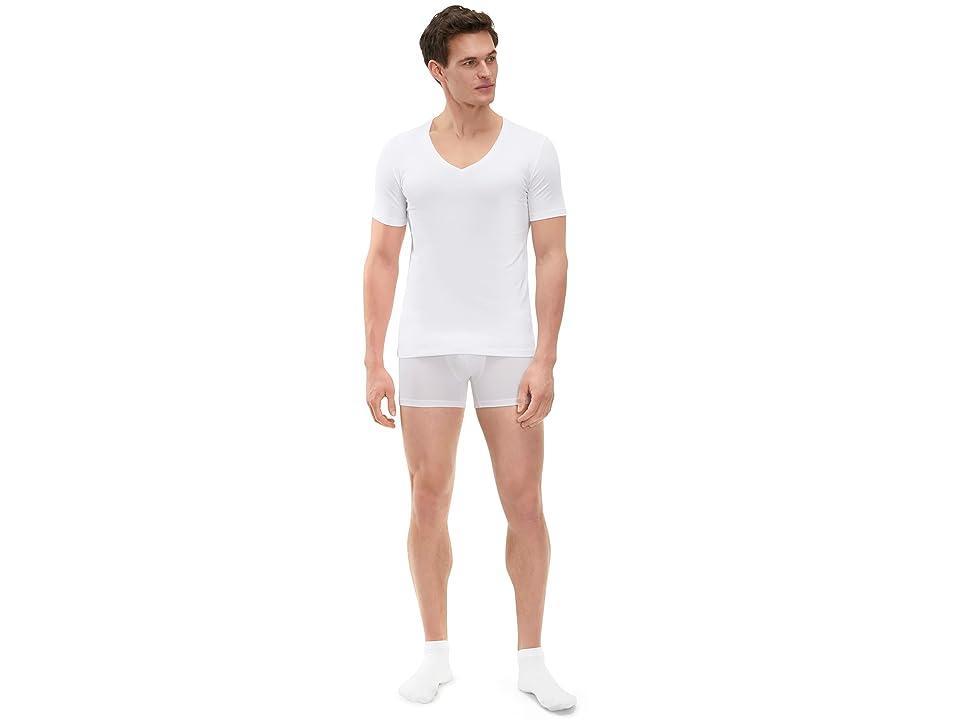 Mens V-Neck T-Shirt 2-Pack Product Image