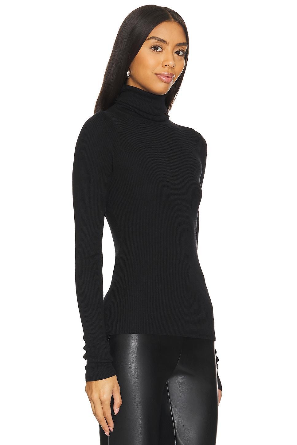 Silk Sweater Rib Turtleneck Enza Costa Product Image