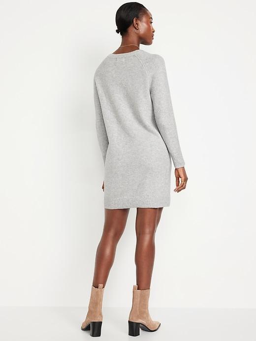 SoSoft Mini Sweater Dress Product Image