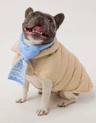 OFFLEASH By Aerie Dog Scarf Product Image