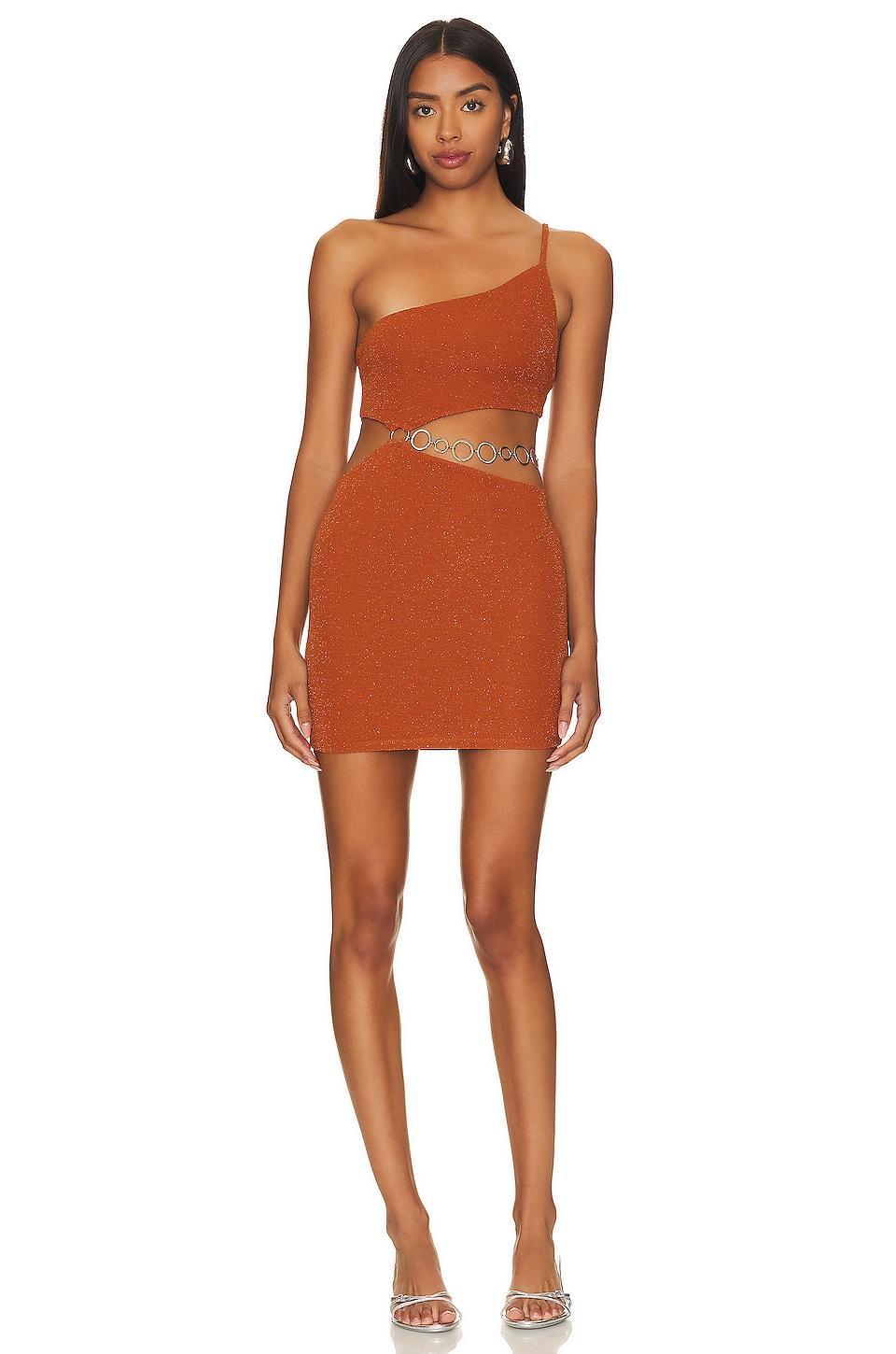 Kiana Mini Dress Lovers and Friends Product Image