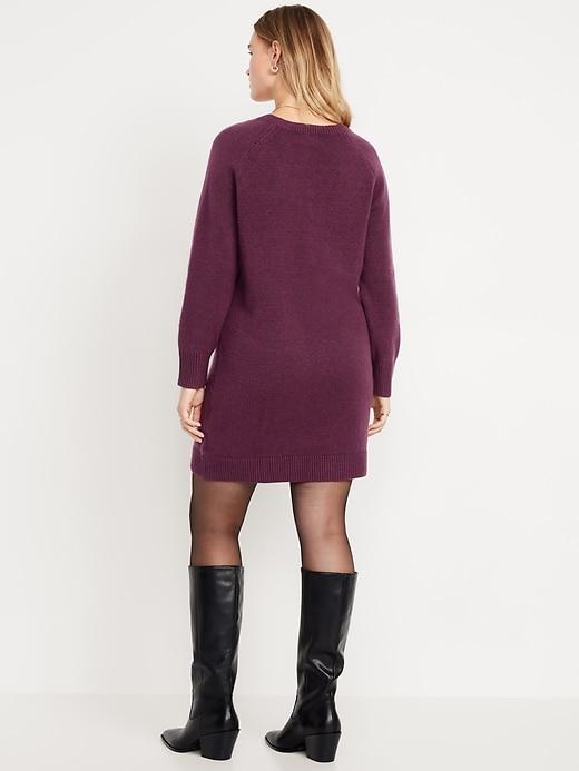 SoSoft Mini Sweater Dress Product Image