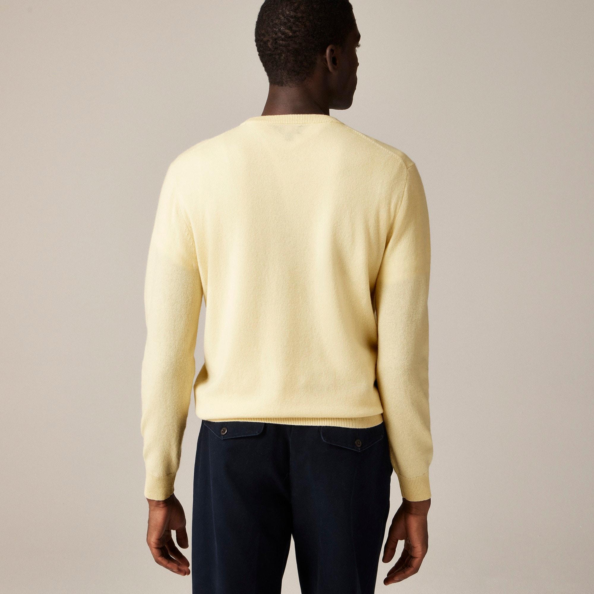 Cashmere crewneck sweater Product Image