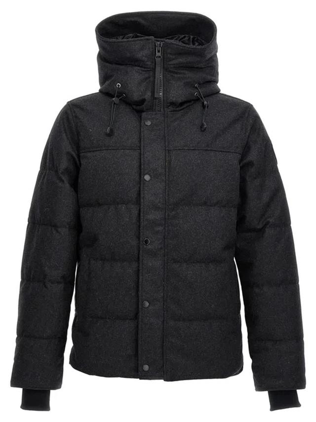 CANADA GOOSE 'padded Hooded Down Jacket With Long Sleeves' In Gray Product Image