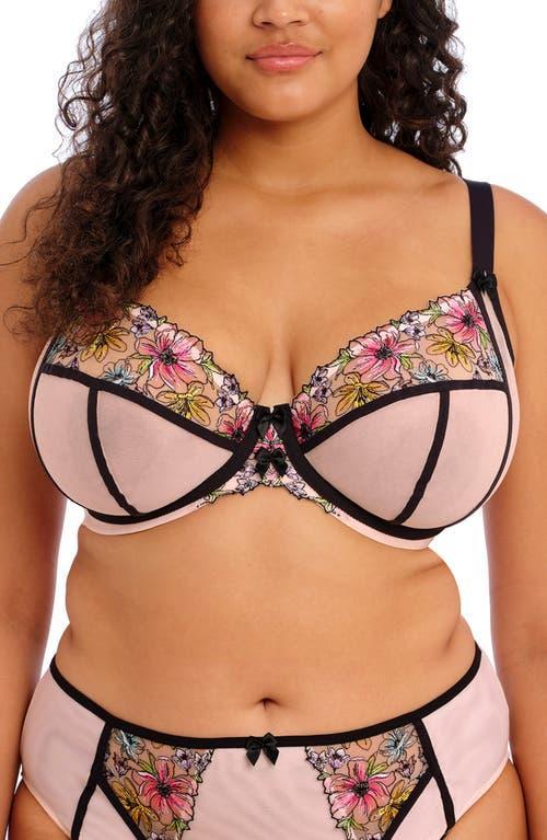 Elomi Carrie Underwire Plunge Bra Product Image