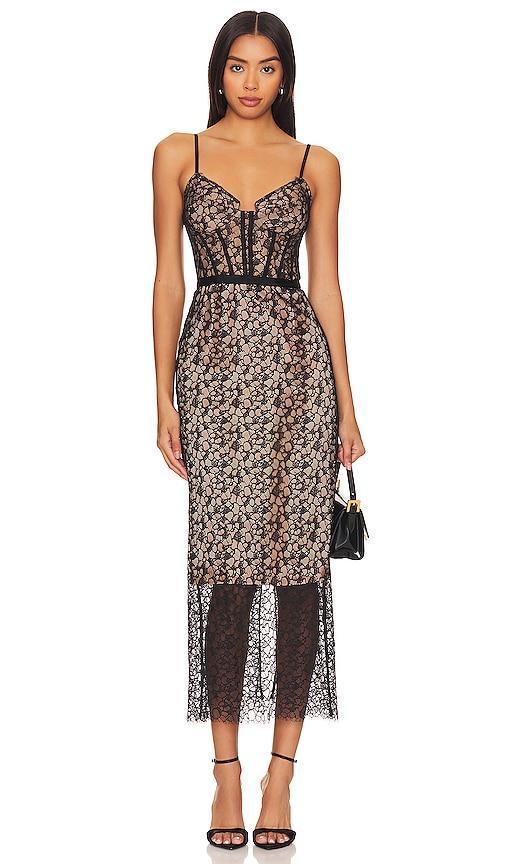 Womens Ruth Lace Bustier Midi-Dress Product Image