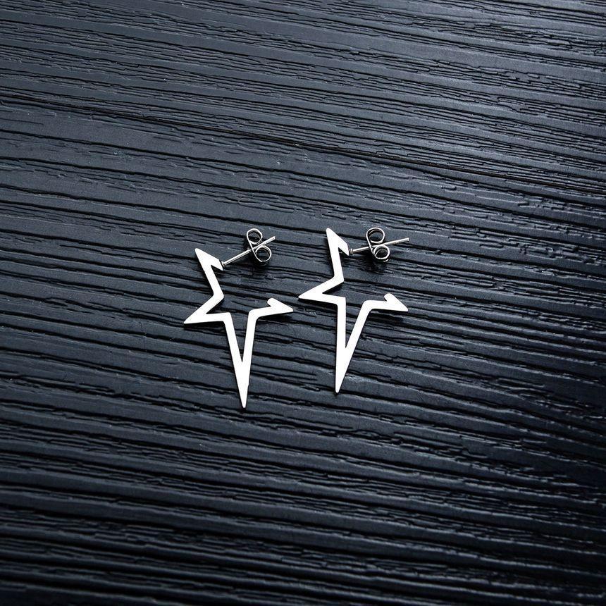 Stainless Steel Star Earring Product Image