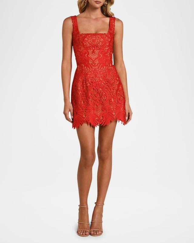 Belen Lace Mini Dress Product Image