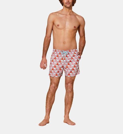 Mens Moorise Starfish Swim Shorts Product Image