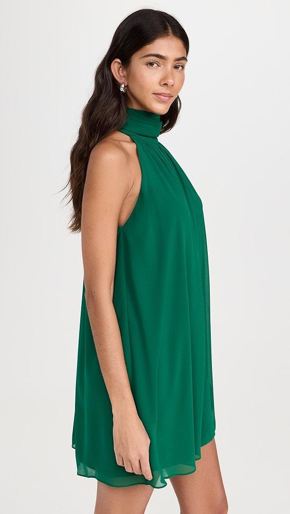 alice + olivia Corine Halter Tie Neck Trapeze Mini Dress | Shopbop Product Image