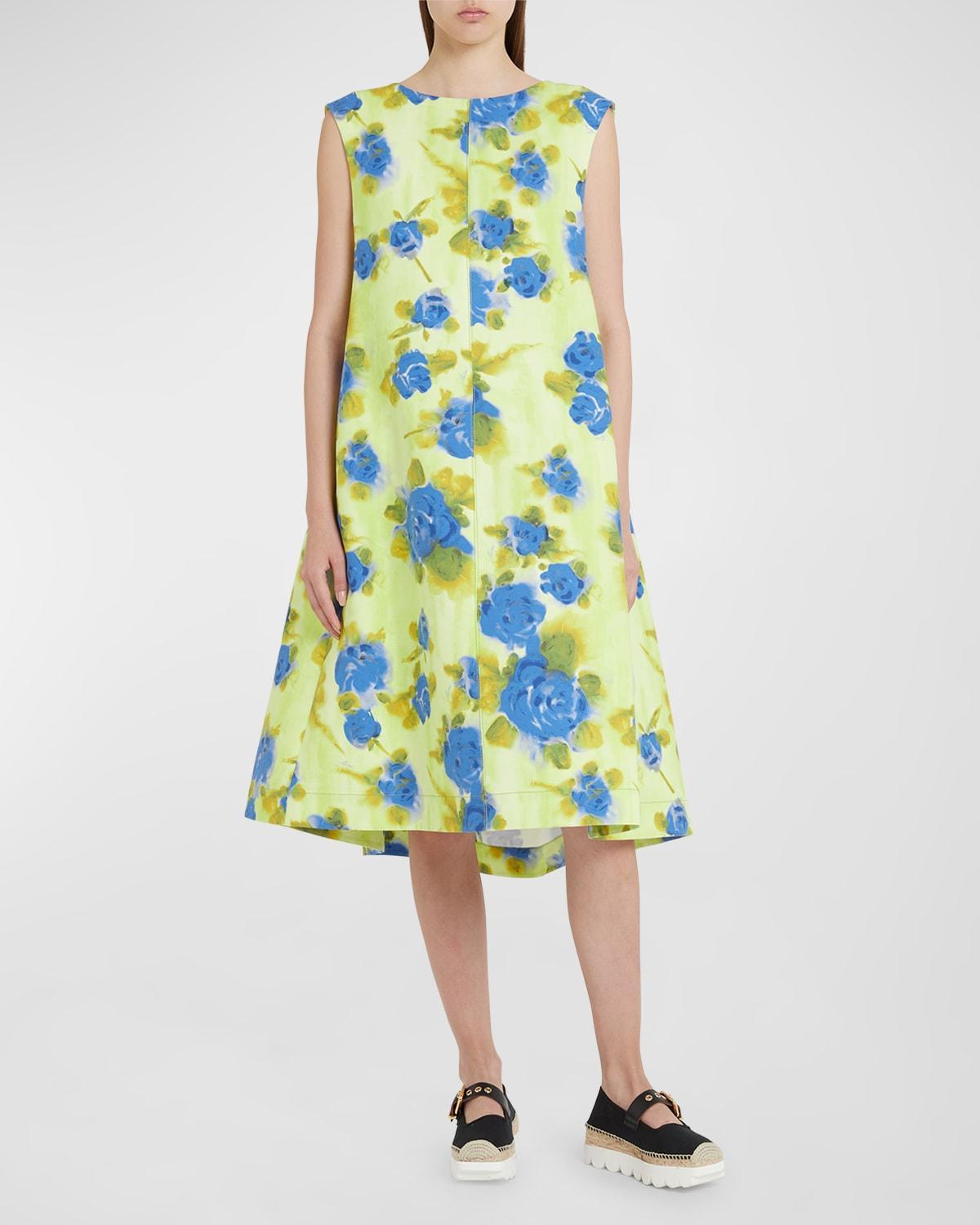 Flared Floral-Print Dress with Wide Cape Back Product Image