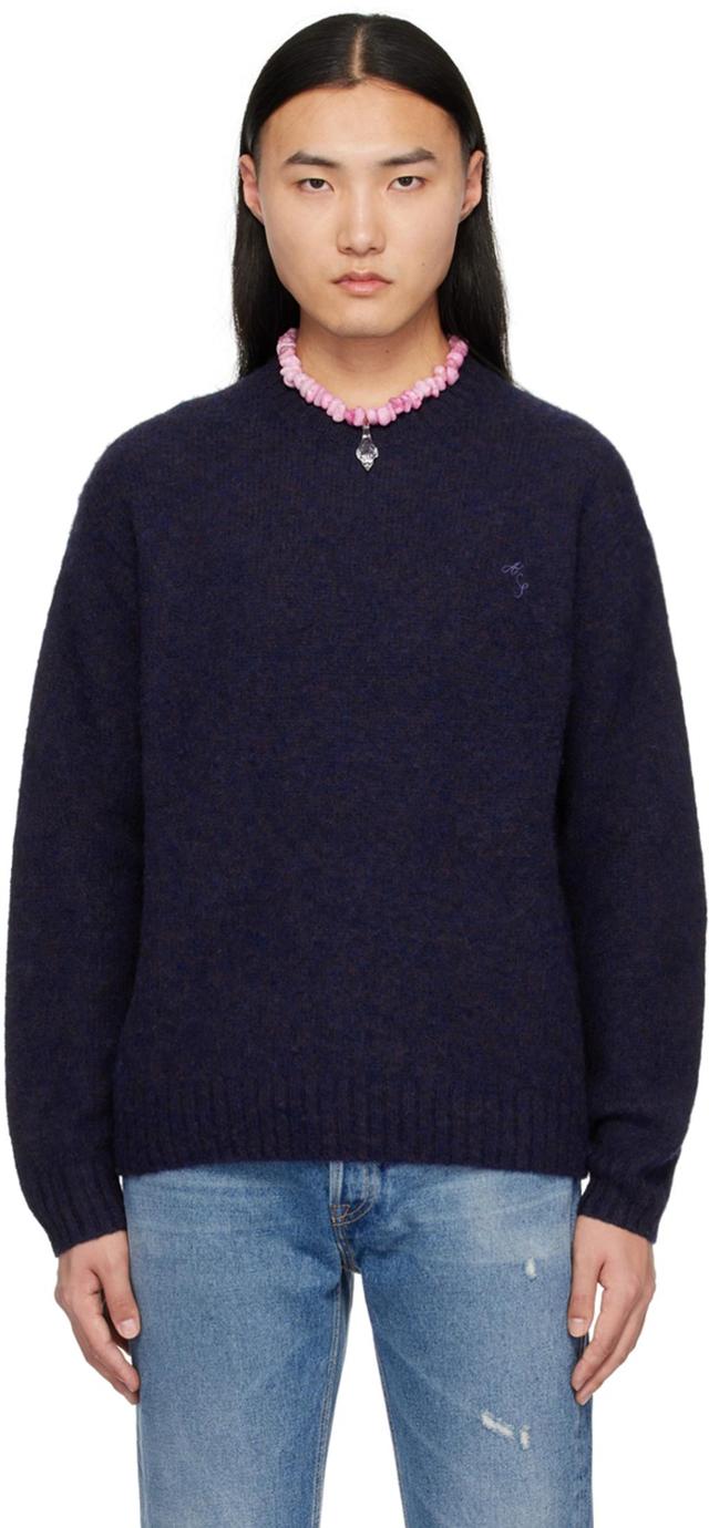 Navy Embroidered Sweater In Dkb Deep Blue Product Image