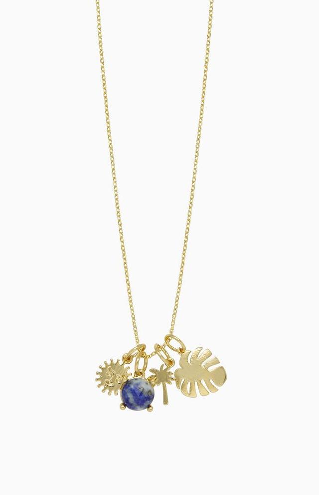 Ettika Tropical Getaway Interchangeable Necklace Product Image