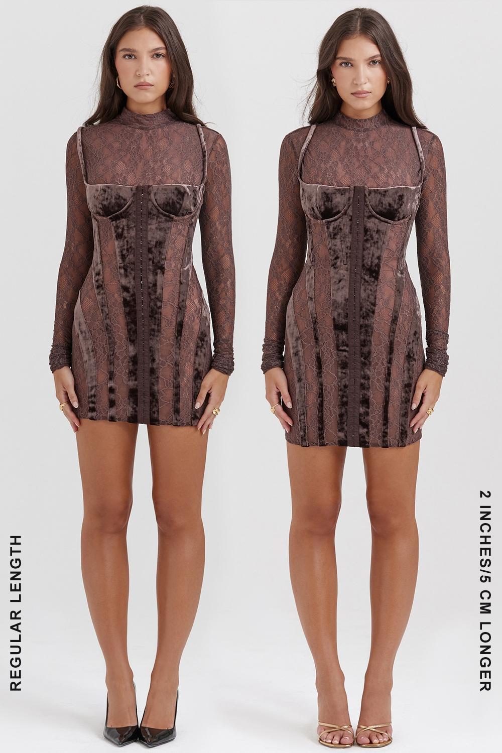 Marica Brown Velvet & Lace Corset Dress Product Image