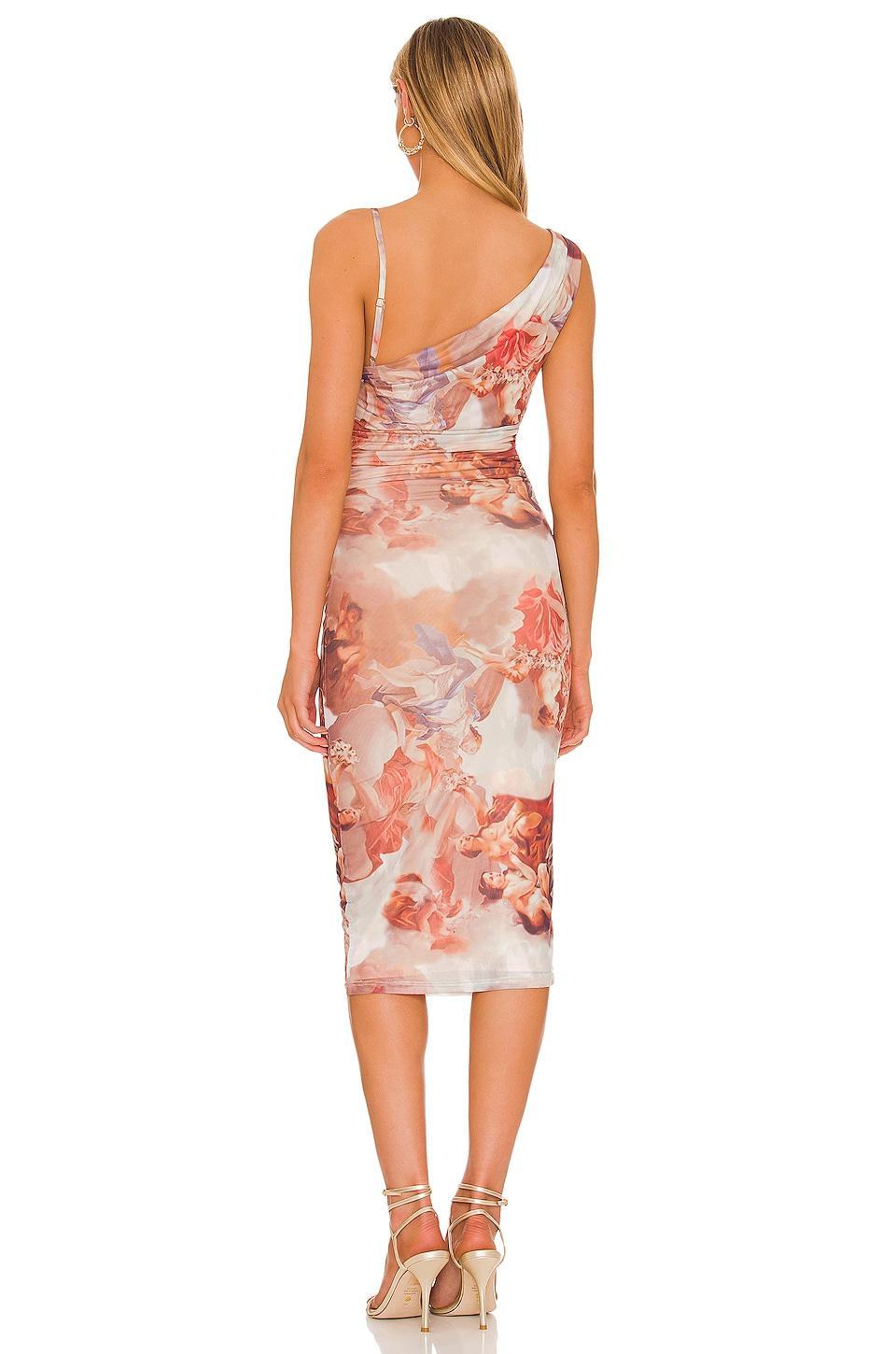 Conna Midi Dress superdown Product Image