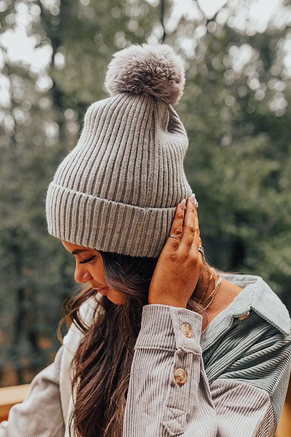 Toasty Times Fleece Lined Beanie In Grey product image