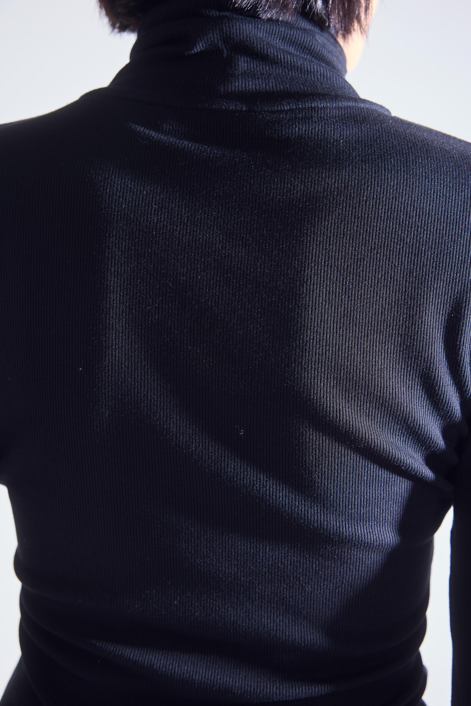 The Ribbed Turtleneck Product Image