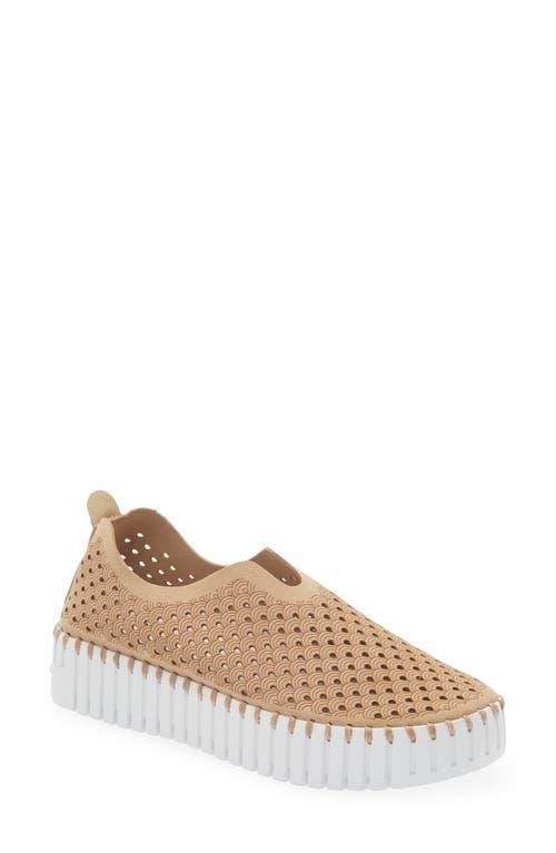 Ilse Jacobsen Tulip Sneaker Product Image