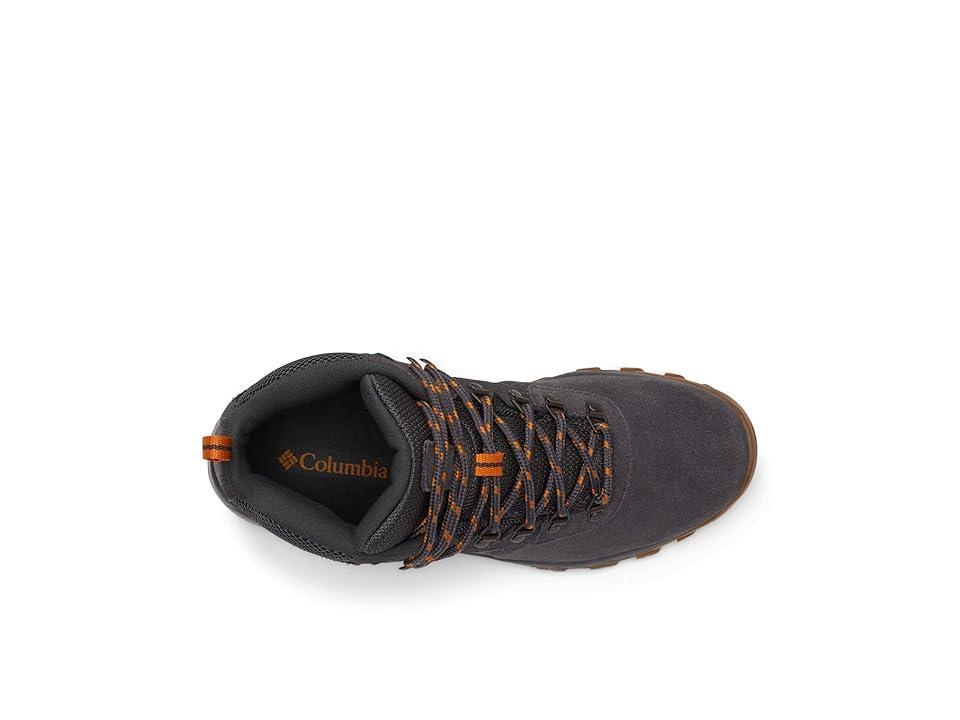 Columbia Newton Ridge Plus II Waterproof Hiking Boot Product Image