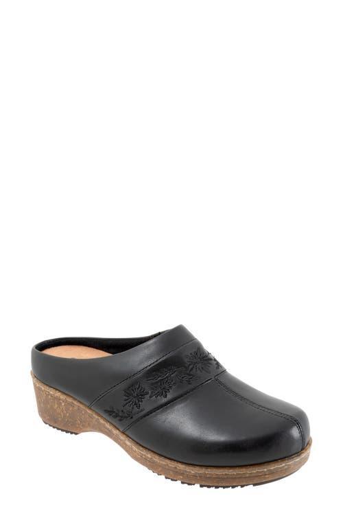 SoftWalk Aurora 3.0 Leather Clogs Product Image