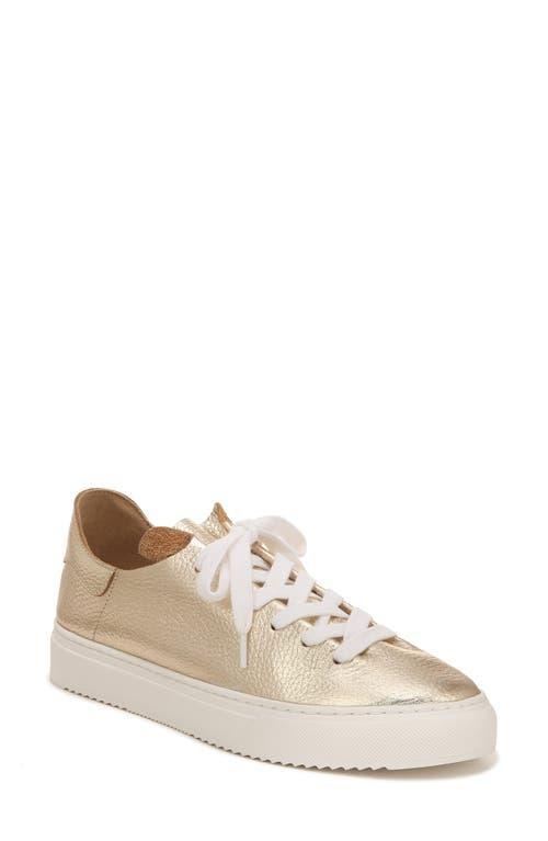 Sam Edelman Poppy Sneaker Product Image