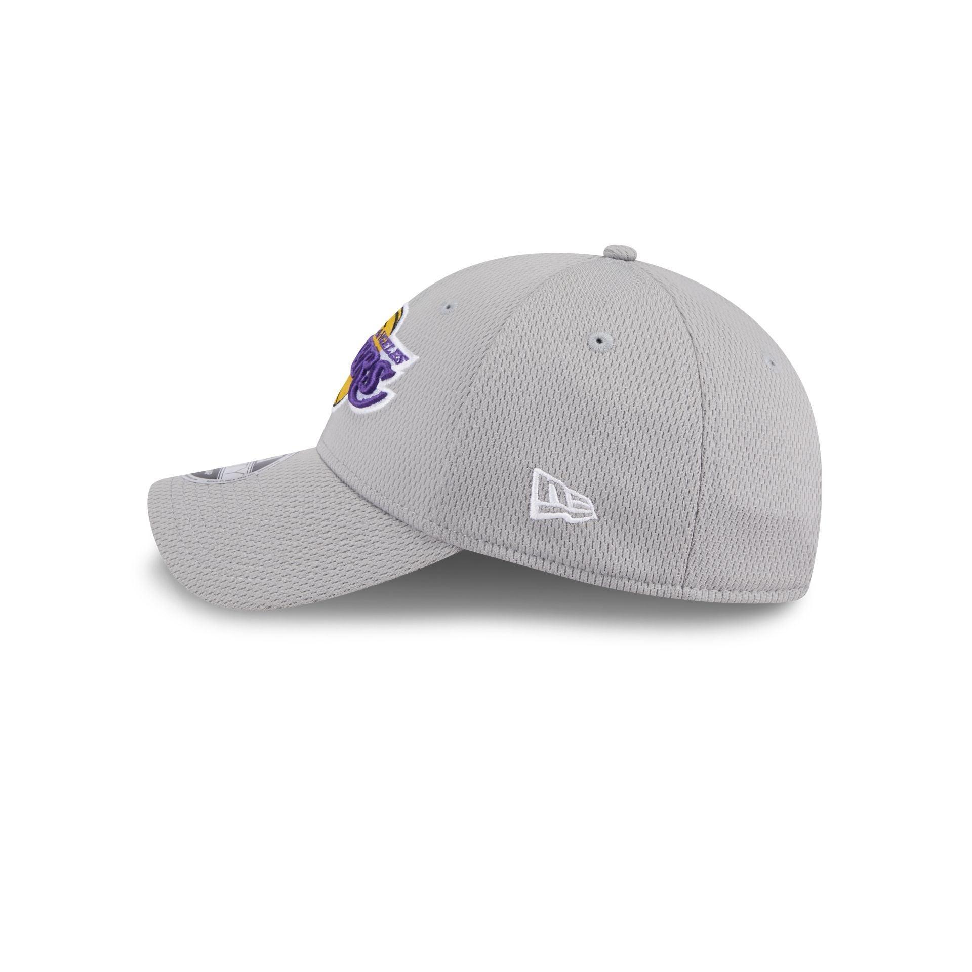 Los Angeles Lakers Gray 9FORTY Stretch-Snap Hat Male Product Image