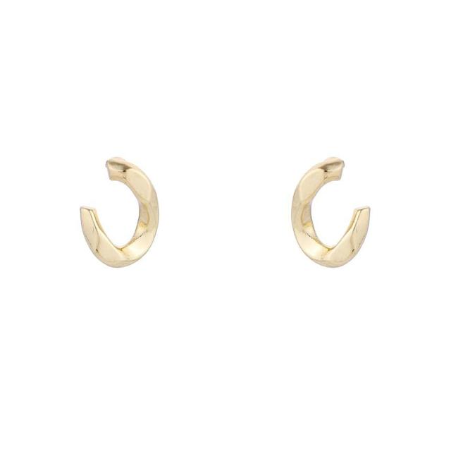 Glossy Stud Earring Product Image