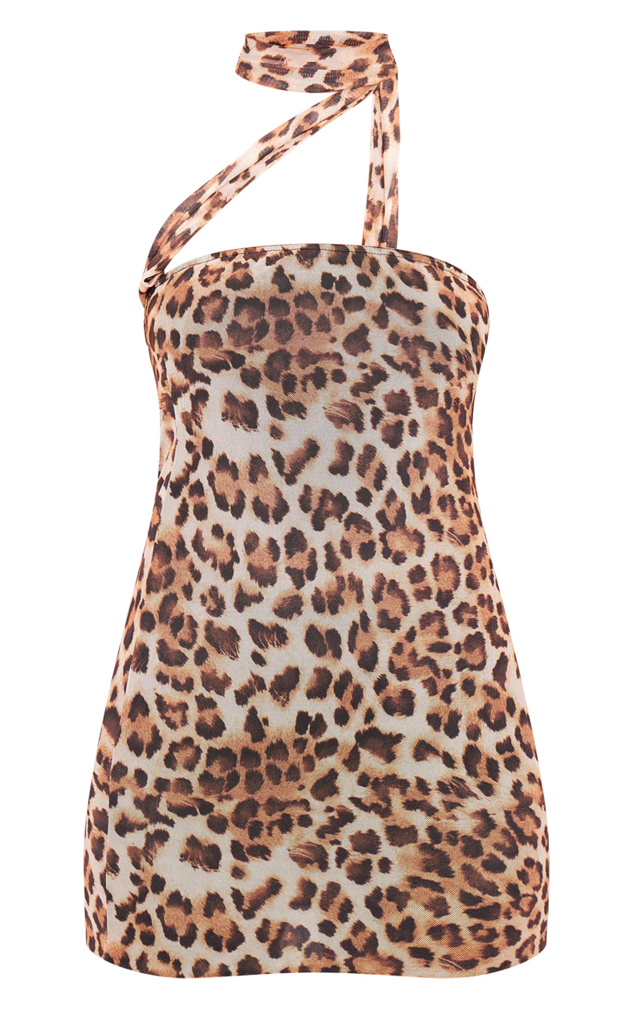 Leopard Printed Mesh Tie Neck Mini Dress Product Image