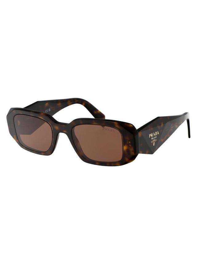 Sunglasses 0 Pr 17 Ws 2 Au03 U In Brown Product Image