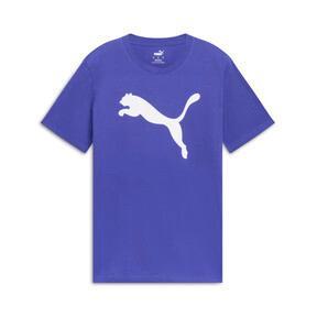 Essentials Big Cat Men's Tee Product Image