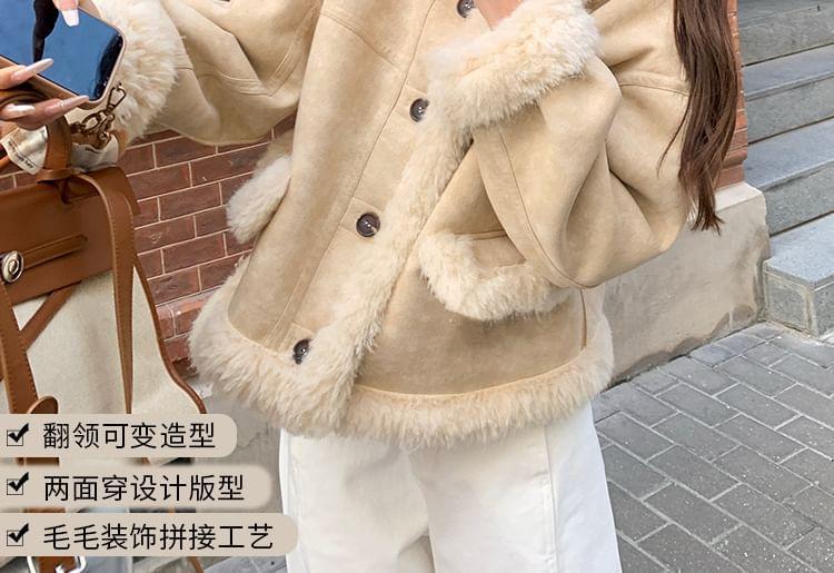 Stand Collar Faux Shearling Button Jacket Product Image