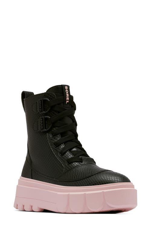 SOREL Caribou X Waterproof Leather Lace-Up Boot Product Image