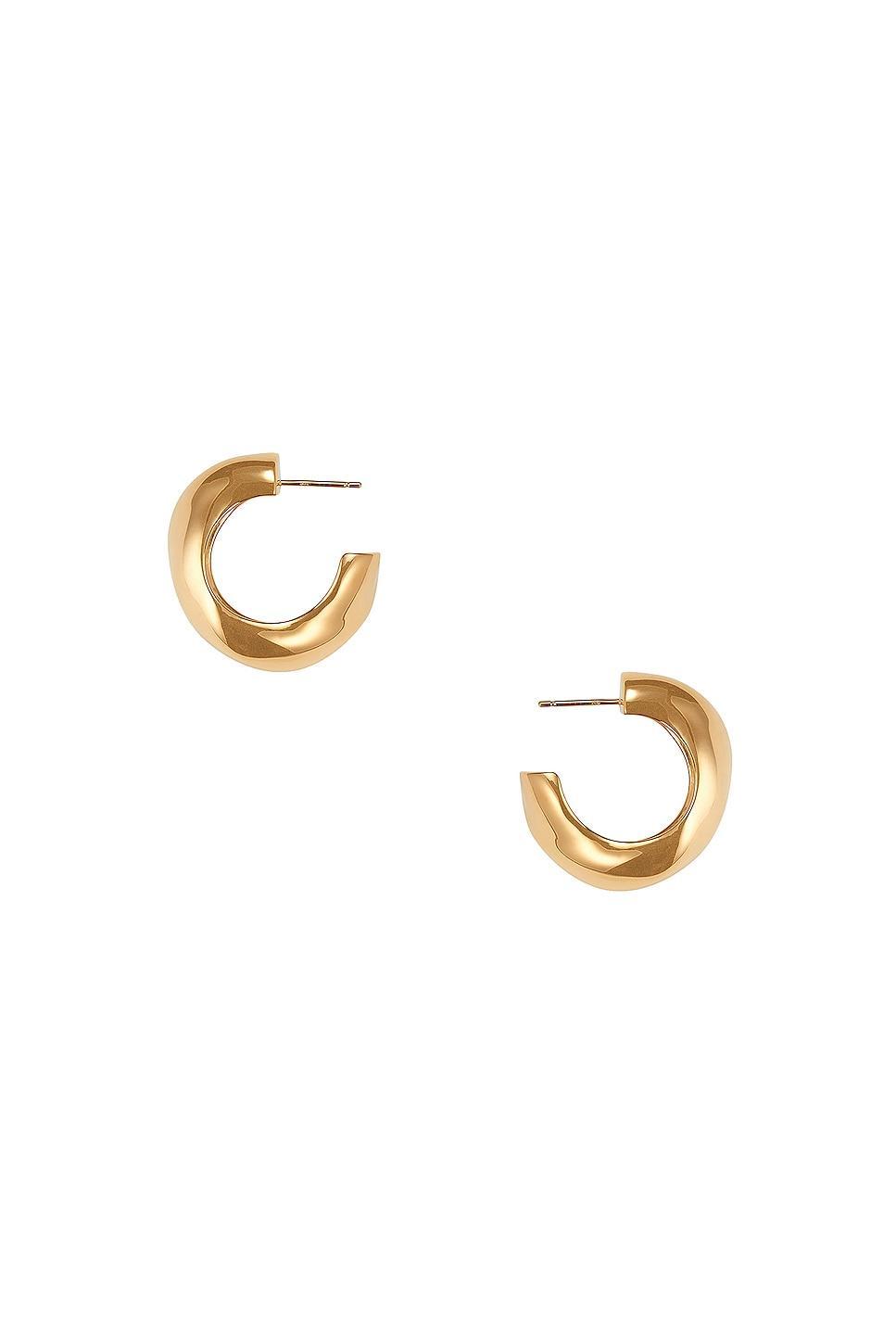 AGMES Medium Celia Hoop Earrings Metallic Gold.. Product Image