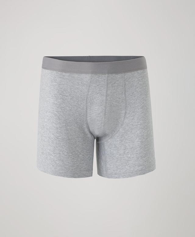 Mens Everyday Extended Boxer Brief XL Product Image