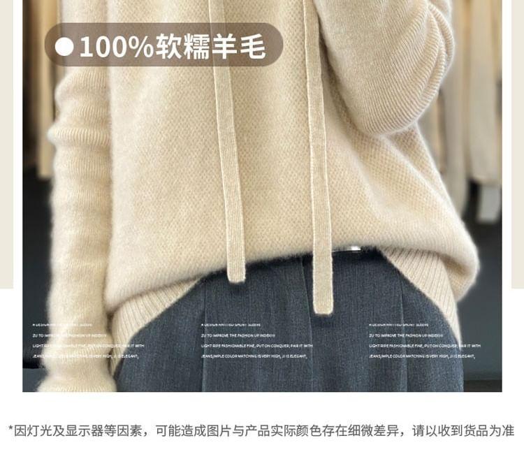 Drawstring Hooded Plain Sweater Product Image