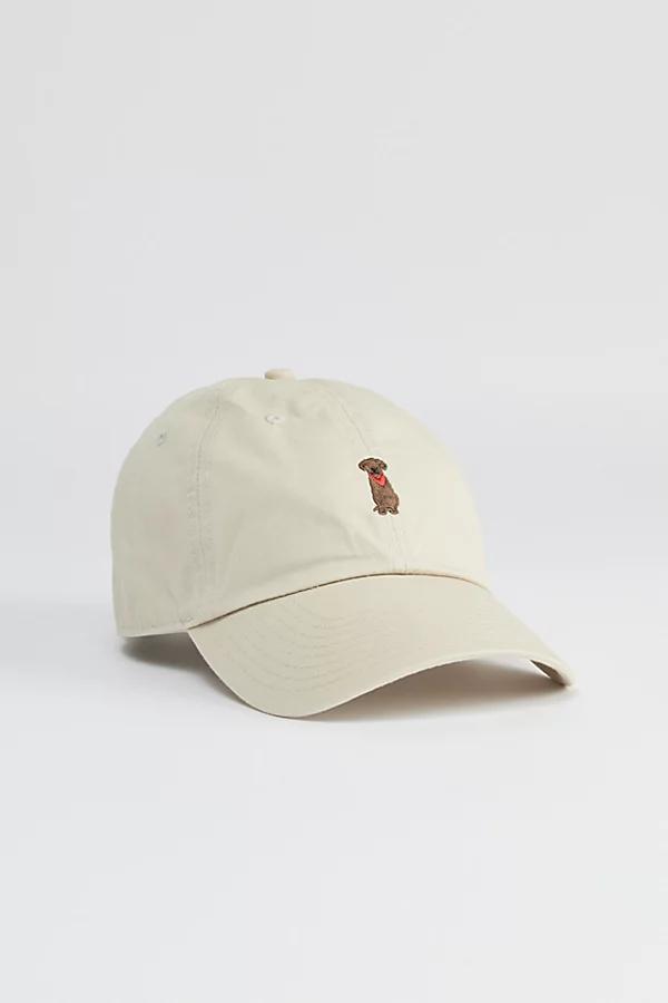 47 Brand Chocolate Lab Clean Up Hat Mens at Urban Outfitters Product Image