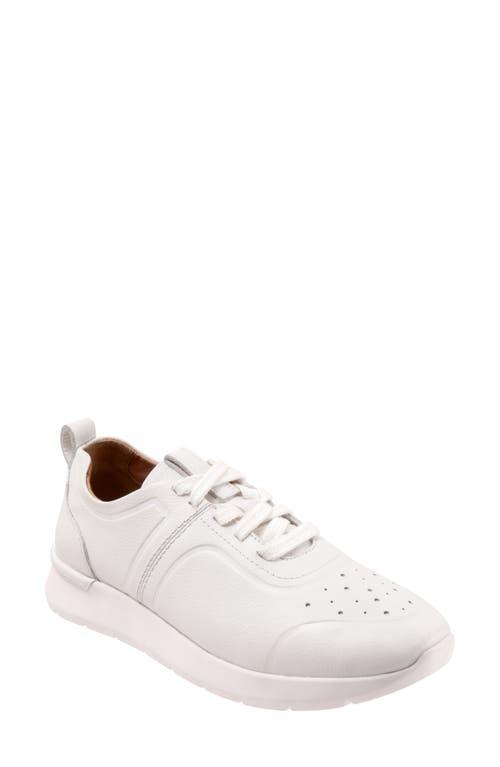 SoftWalk Stella Sneaker Product Image