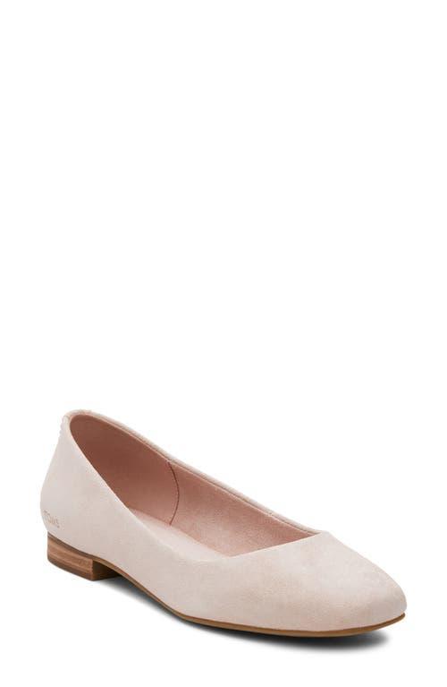 Toms Womens Briella Square-Toe Slip-On Ballet Flats Product Image