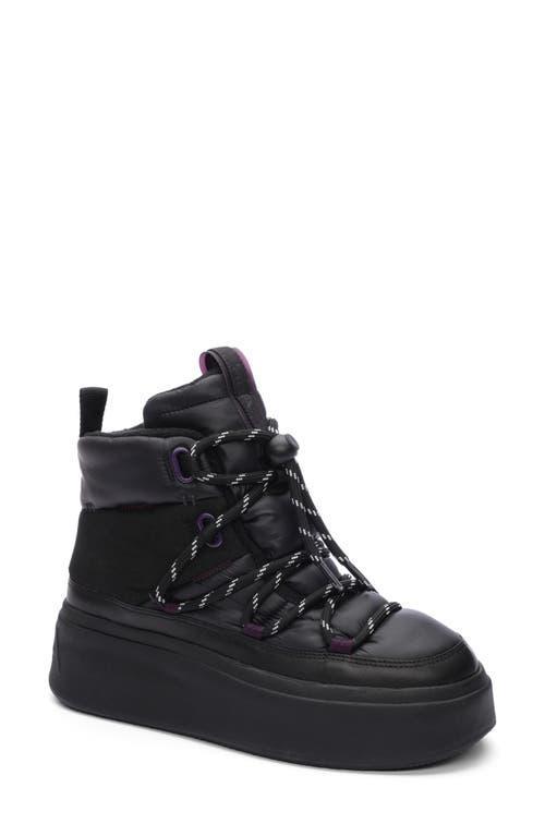 Ash Montana Platform Sneaker Product Image