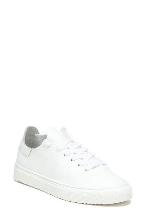 Sam Edelman Poppy Sneaker Product Image