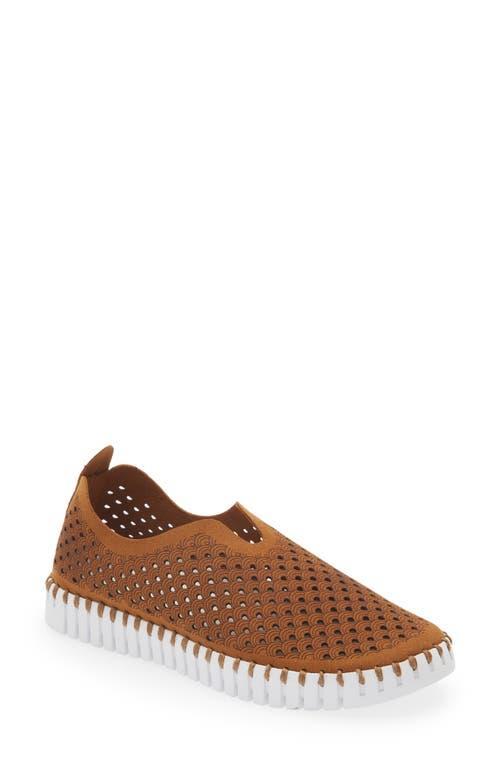 Ilse Jacobsen Tulip 139 Perforated Slip-On Sneaker Product Image