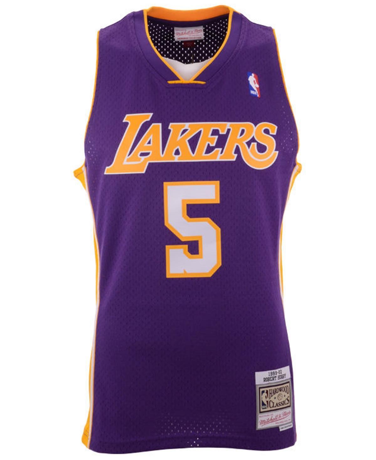 Mitchell & Ness Mens Robert Horry Los Angeles Lakers Hardwood Classic Swingman Jersey - Purple Product Image