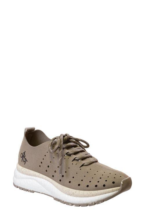 OTBT Alstead Perforated Sneaker Product Image