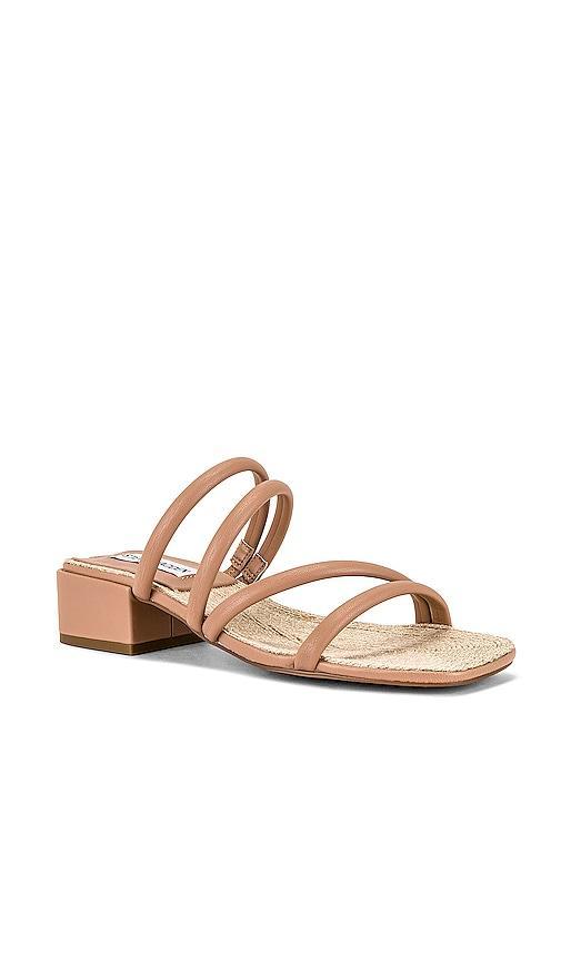 Steve Madden Citizen Sandal in Tan. Size 7.5. Product Image