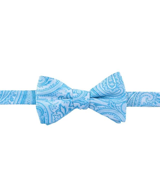 Trafalgar Mens Sobee Paisley Silk Bow Tie Product Image