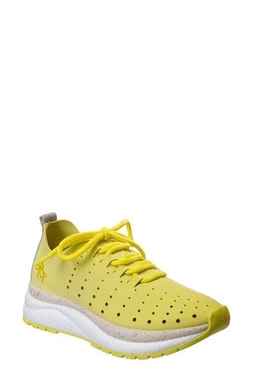 OTBT Alstead Perforated Sneaker Product Image