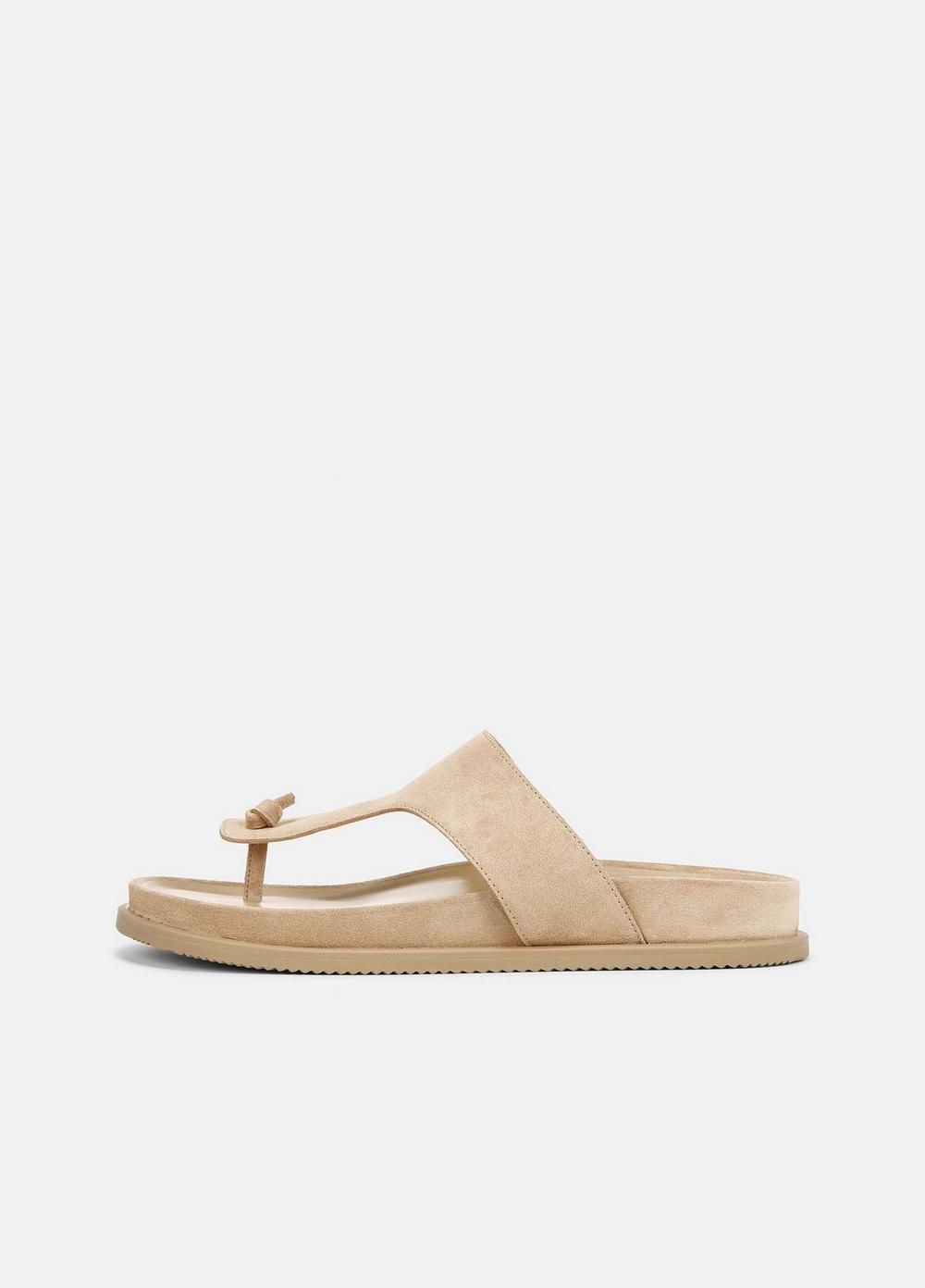 Diego Suede Thong Sandal Product Image