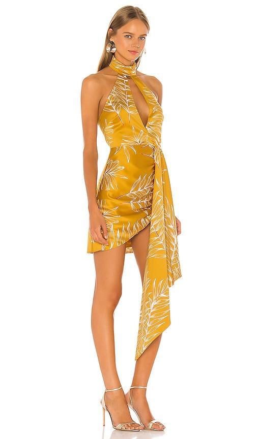 Camila Coelho Antonia Mini Dress in Gold Tropical - Yellow. Size XXS (also in XS, S). Product Image